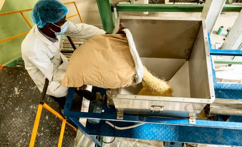 Agricultural production under pressure