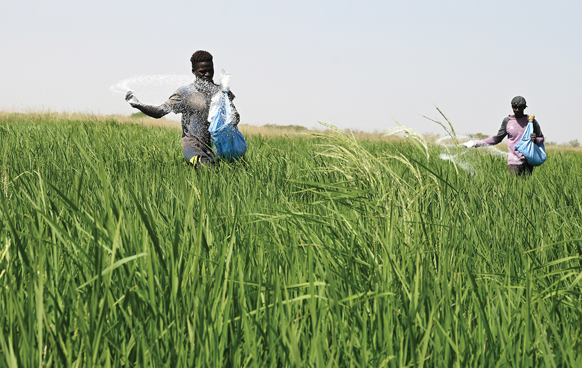 Unlocking the potential of Africa’s agricultural value chains