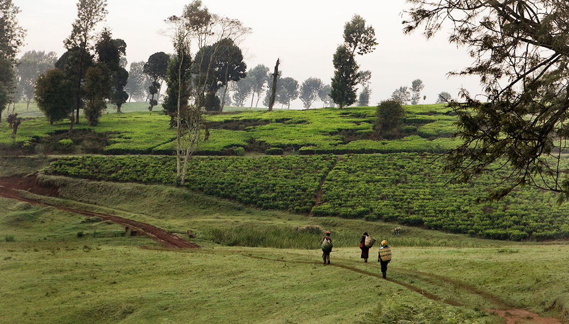 Kikuyu Land and the fight to reclaim Kenya’s stolen land